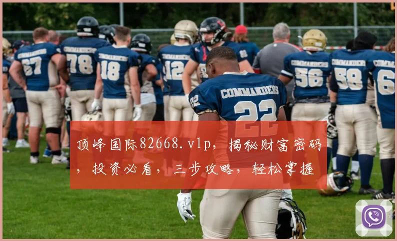顶峰国际82668.vlp，揭秘财富密码，投资必看，三步攻略，轻松掌握