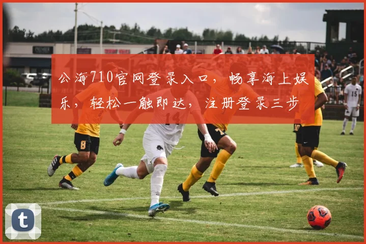 公海710官网登录入口，畅享海上娱乐，轻松一触即达，注册登录三步走，体验非凡