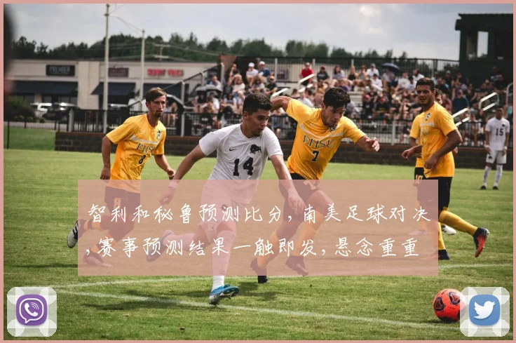 智利和秘鲁预测比分,南美足球对决,赛事预测结果一触即发,悬念重重