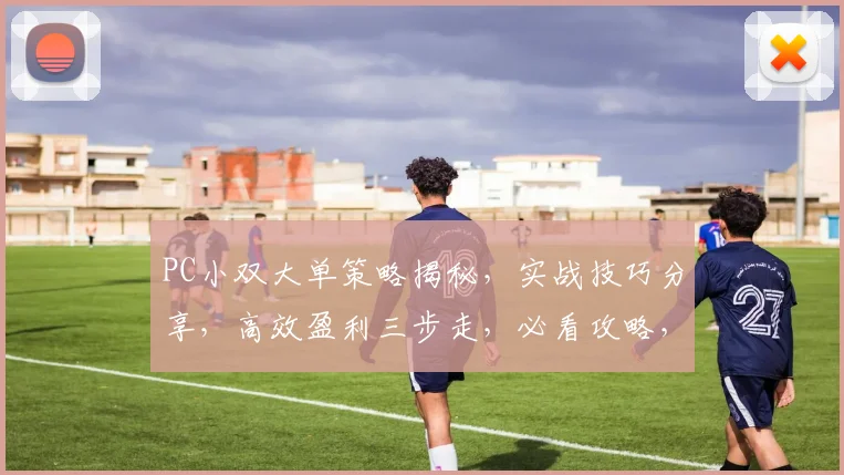 PC小双大单策略揭秘，实战技巧分享，高效盈利三步走，必看攻略，不容错过