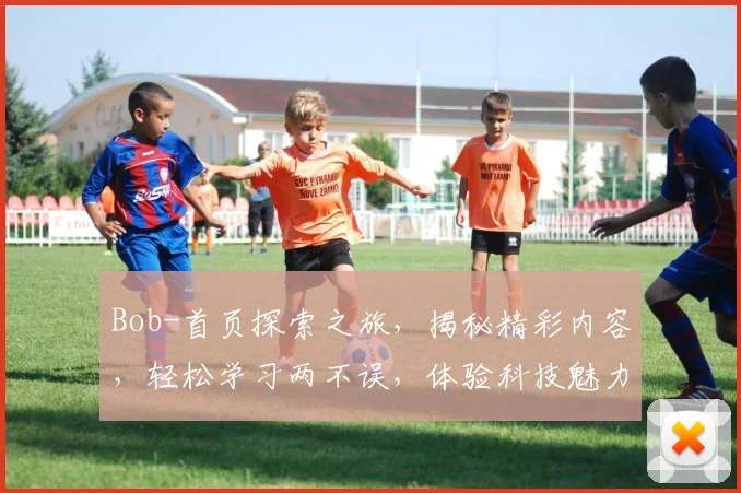 Bob-首页探索之旅，揭秘精彩内容，轻松学习两不误，体验科技魅力